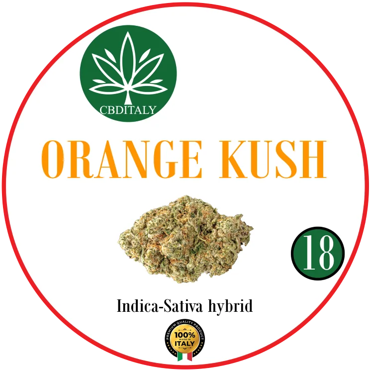 Orange Kush CBD 18% Hemp Flowers | CBDITALY