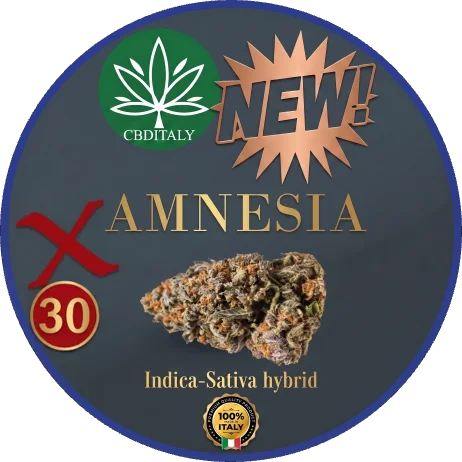 Amnesia cannabis flowers X line