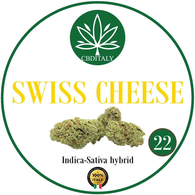 SWISS CHEESE CBD 22%