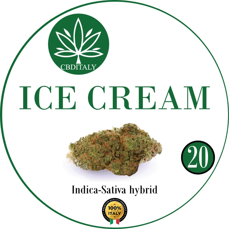 Ice Cream Bud CBD 20%