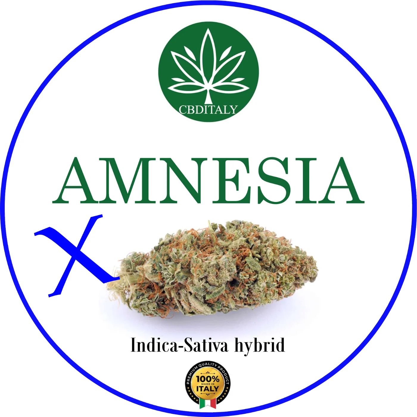 CBDITALY Amnesia CBD – piklik Indica-Sativa hübriid kanepiõis merevaigukollaste karvadega, 100% valmistatud Itaalias