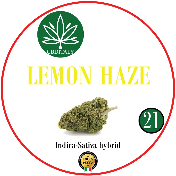 LEMON HAZE CBDITALY