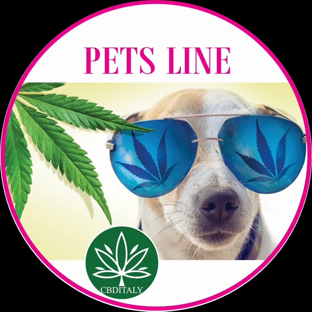 CBD-CBDA RAW Масло лосося полного спектра 6%, PETS LINE