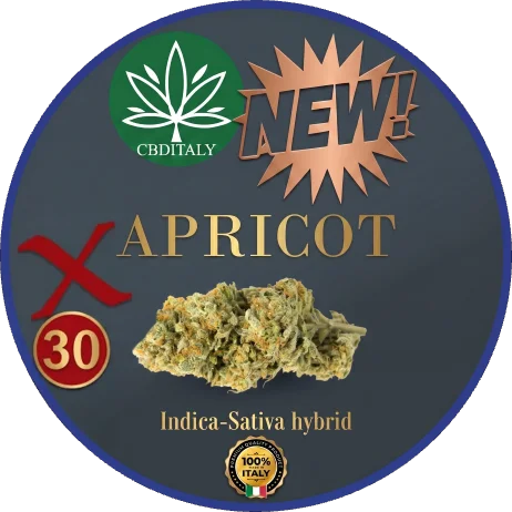 APRICOT X CANNABIS