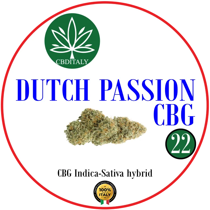 DUTCH PASSION CBDITALY